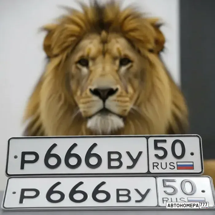 Номер Р666ВУ50 на автомобиле